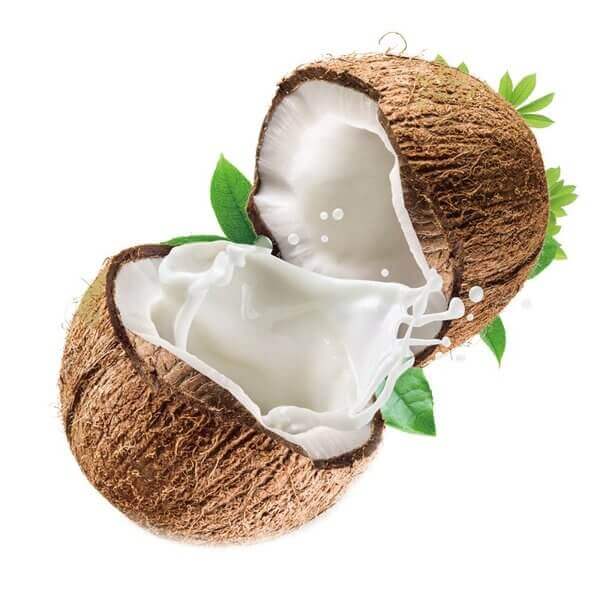 Coconut Dryer Machine Malayalam
